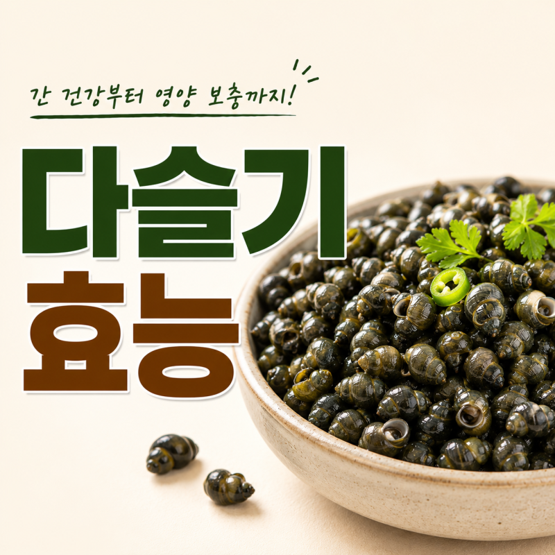 다슬기 제철 시기 총정리, 가장 맛있는 시기와 효능 5가지