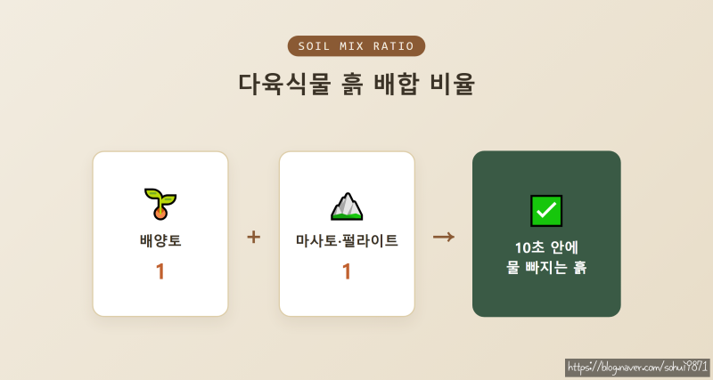 다육식물 매장 사장이 알려주는 다육이 키우는 방법과 주의할 점