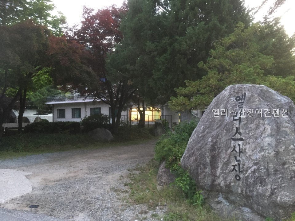 엘리스산장애견펜션 사진 1