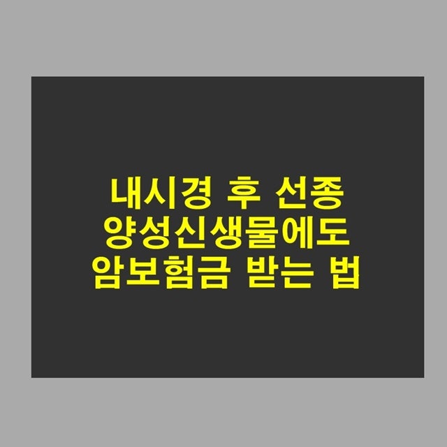 내시경검사 후 선종 진단으로 암보험금 받는 법