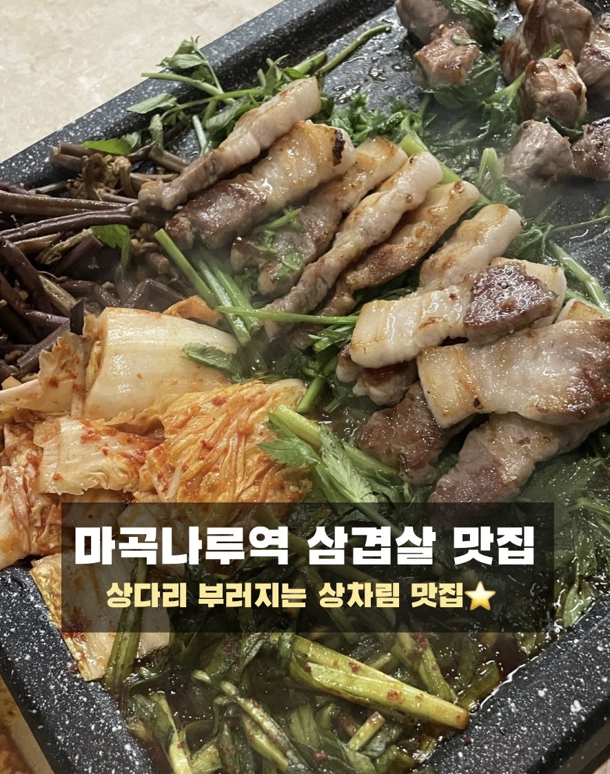 지피다 사진 1