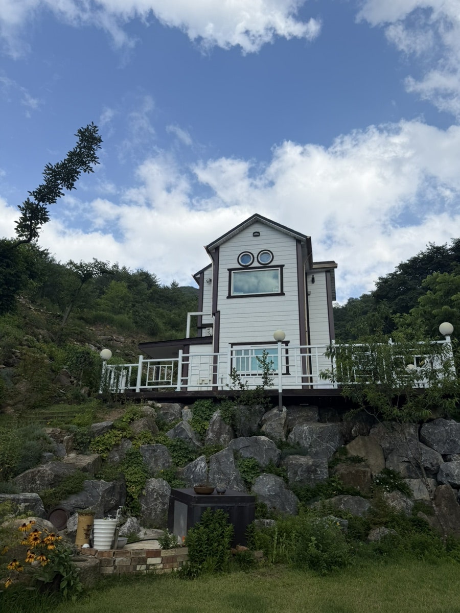 단지골몽상가 사진 2