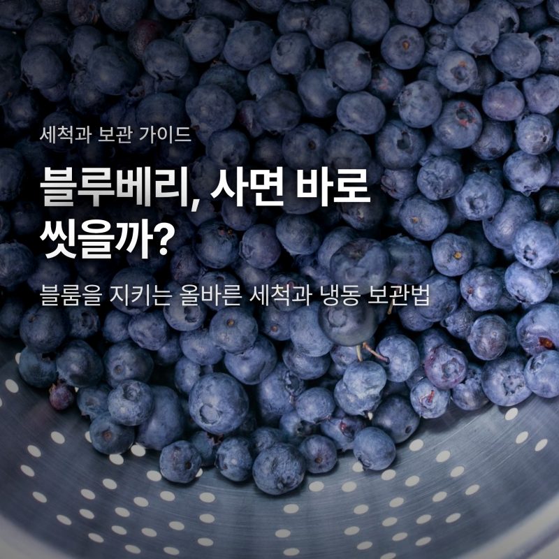 블루베리 세척법과 냉동 보관, 며칠 만에 상하는 진짜 이유