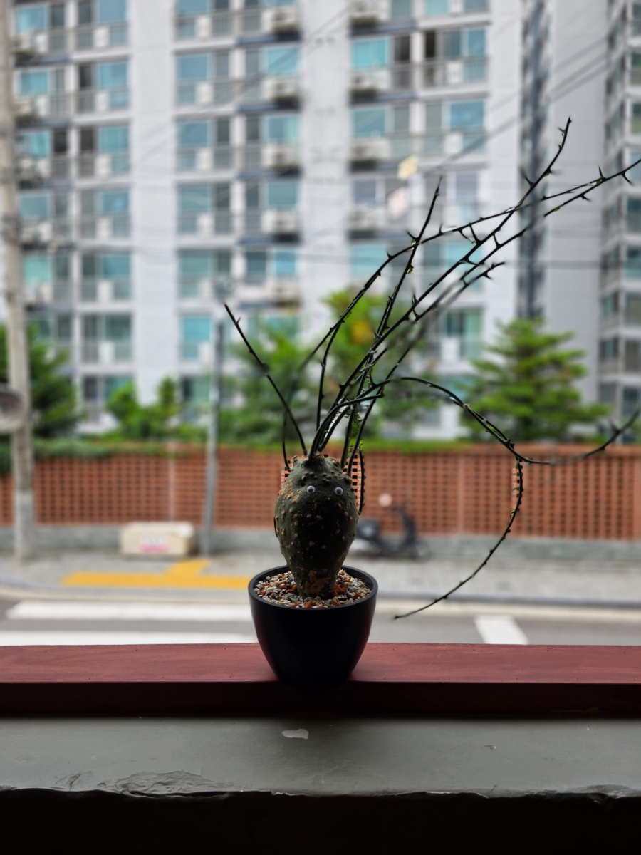 후엘고 사진 4