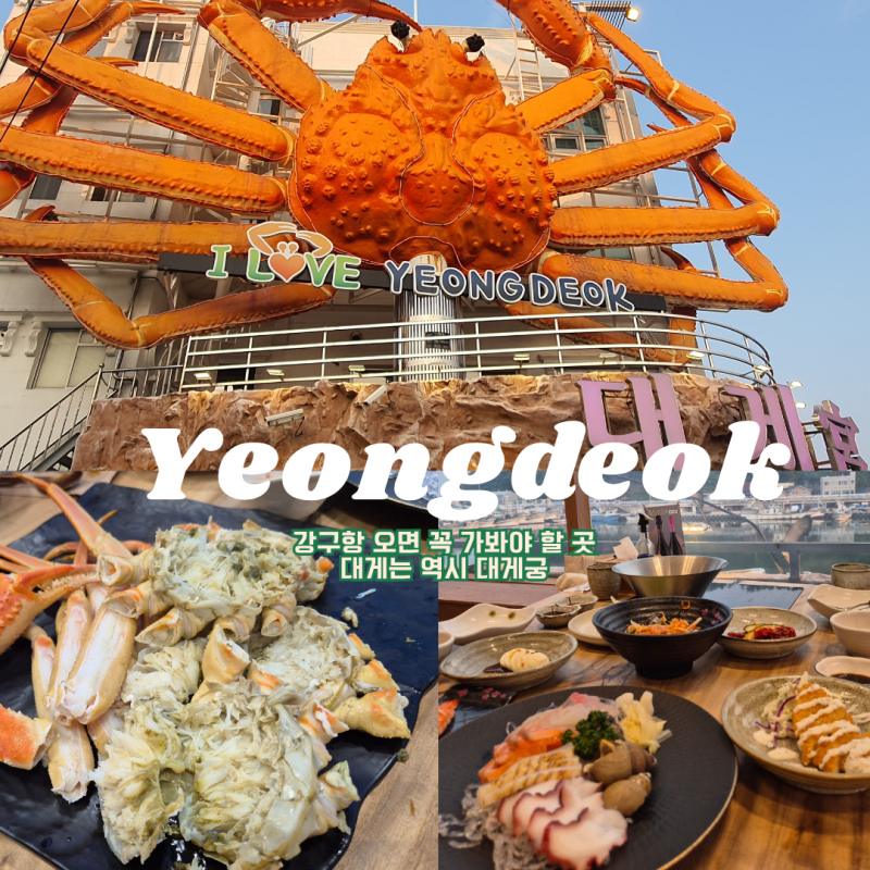 [경북 영덕] 영덕 여행ㅣ영덕가볼만한곳ㅣ영덕 대게ㅣ영덕 강구항 대게궁ㅣ강구항 대게거리....