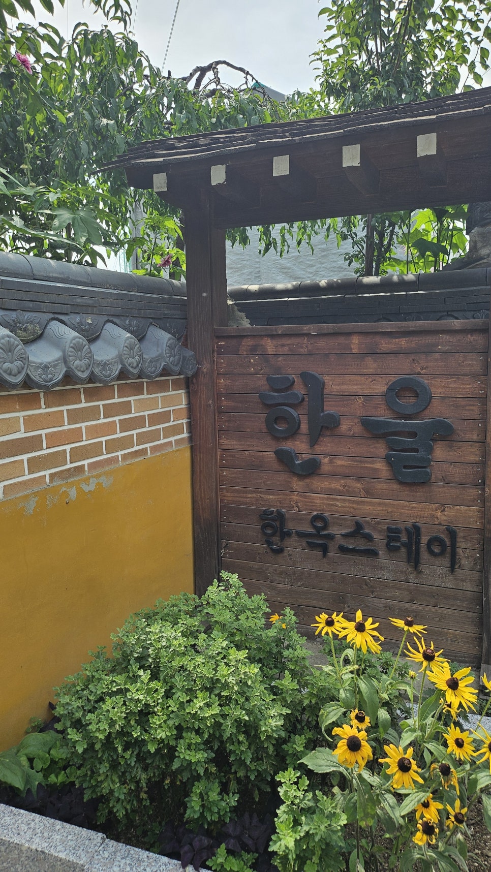 양지파인리조트 사진 1