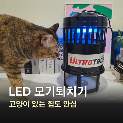 LED 모기퇴치기 울트라트랩 포충기, 고양이 있는 집에 괜찮을까