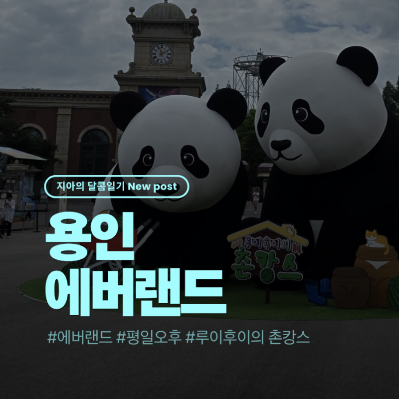 [용인] 에버랜드 평일 오후 출발 입장권, 무료주차, 셔틀버스, 판다 월드, 루이후이의 촌캉스