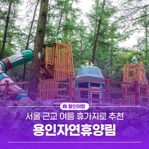 서울 근교 여름 휴가지 추천, 용인자연휴양림! 숙박, 캠핑, 계곡, 산책을 한 번에?!