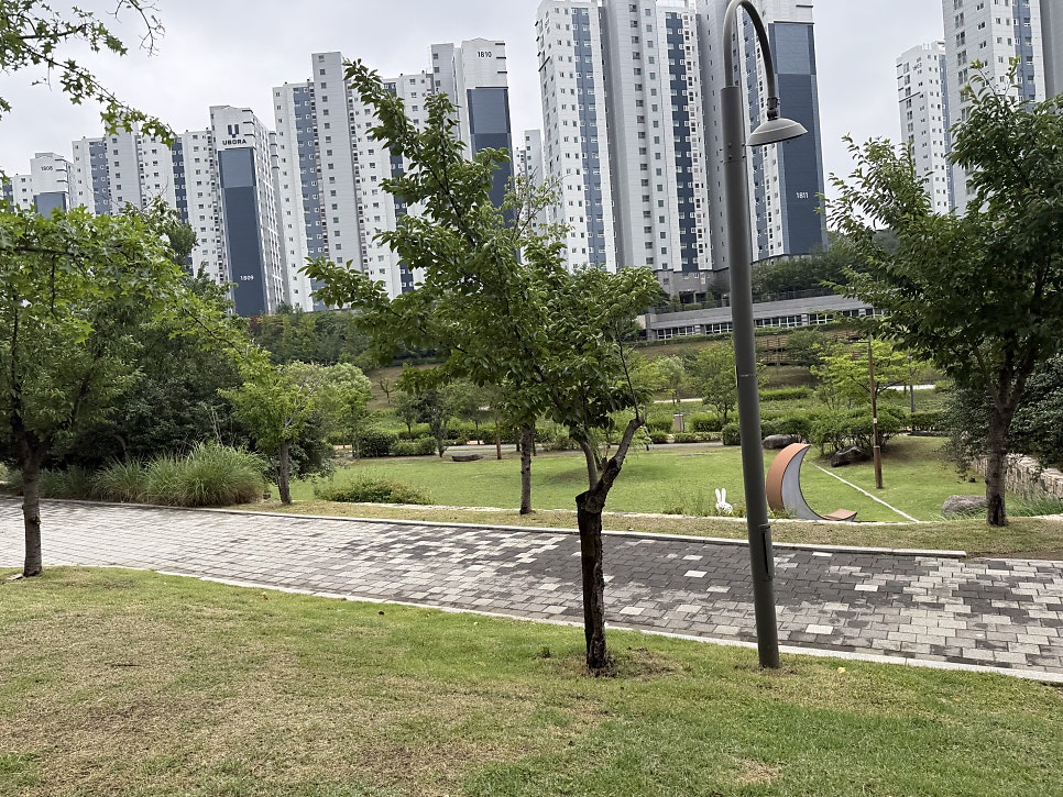 비피터 사진 6