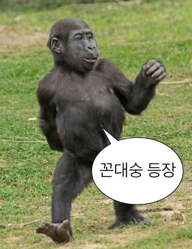 서오릉다슬기 청학점 사진 1