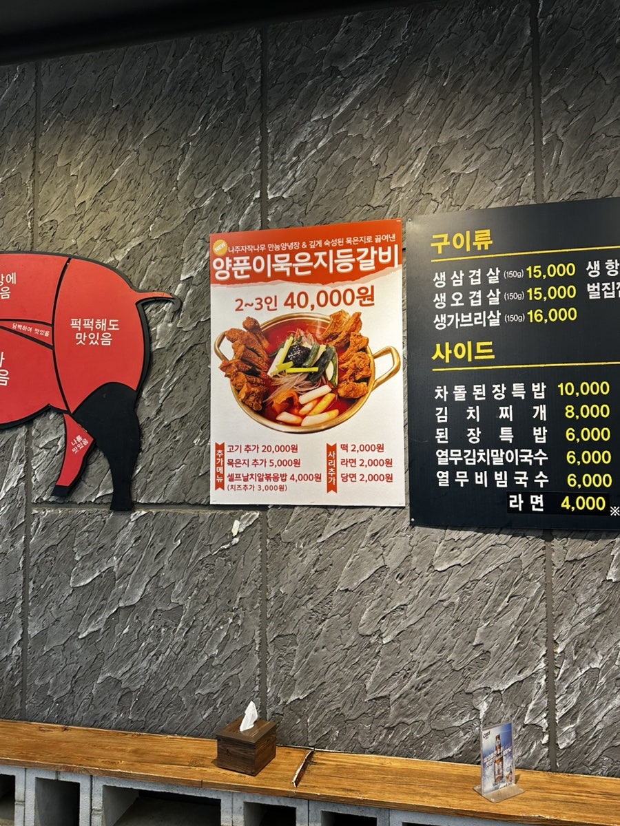 자작나무 사진 5