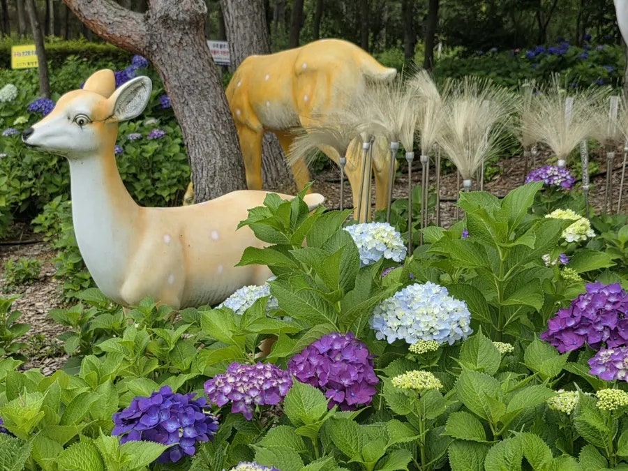 배메산 사진 5