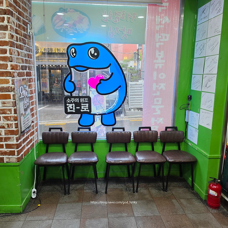 코야코 사진 5