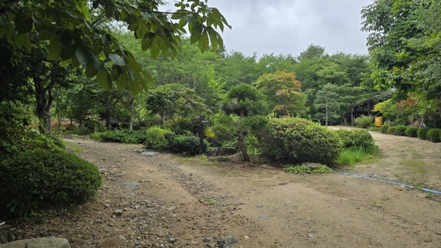 봉화산 사진 6