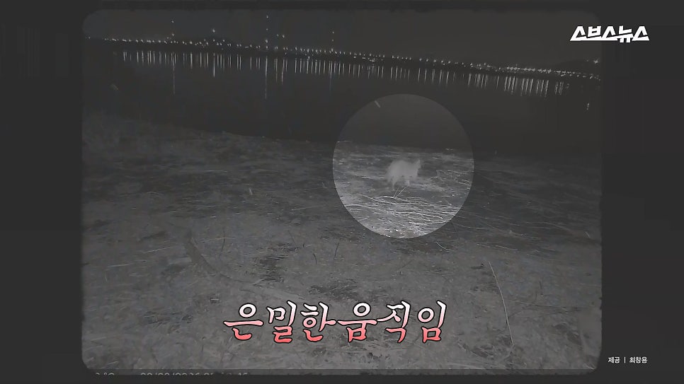 낙원 사진 2