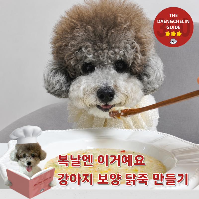 복날엔 꼭 만들어보세요! 강아지 수제간식 닭가슴살 야채로 삼계탕 닭죽만들기