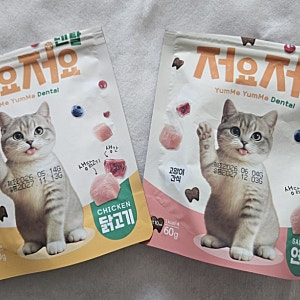 5개월 아기 고양이 치아관리｜저요 저요 덴탈 간식 내돈내산 후기✨
