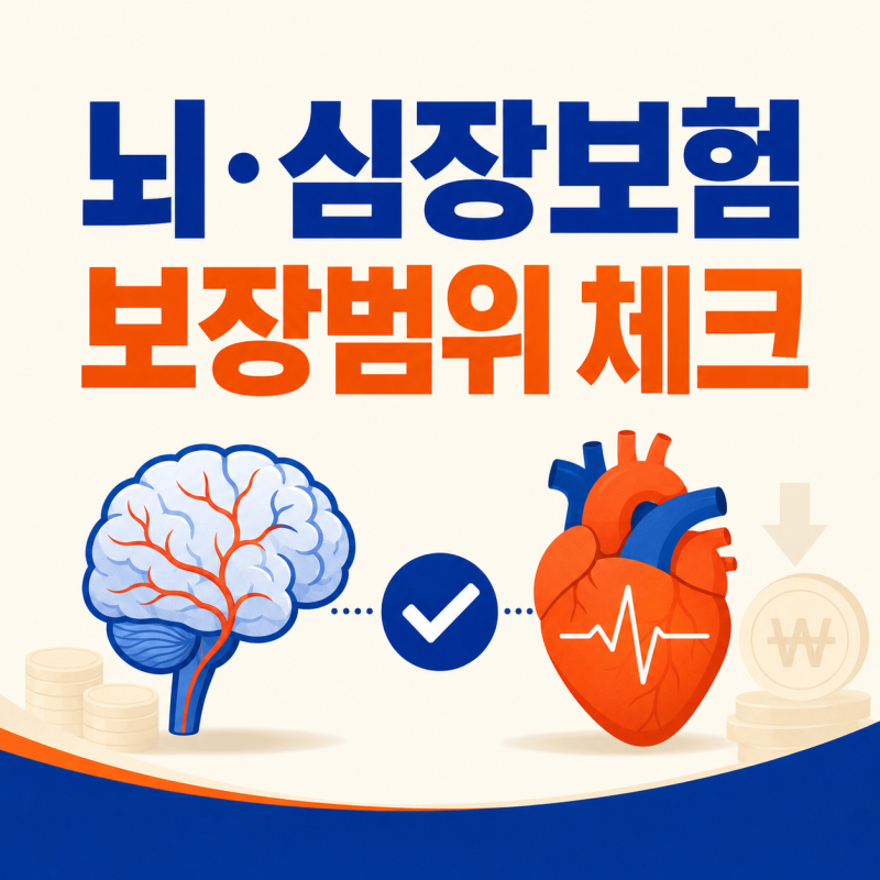 무해지환급형 뜻 뇌혈관질환보험 필요성 허혈성심장질환보험 범위 상세 분석