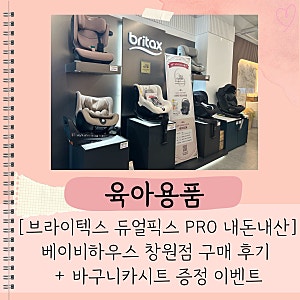 [브라이텍스 듀얼픽스 프로 내돈내산] 베이비하우스 창원점 구매 후기 + 바구니카시트 증정 ....