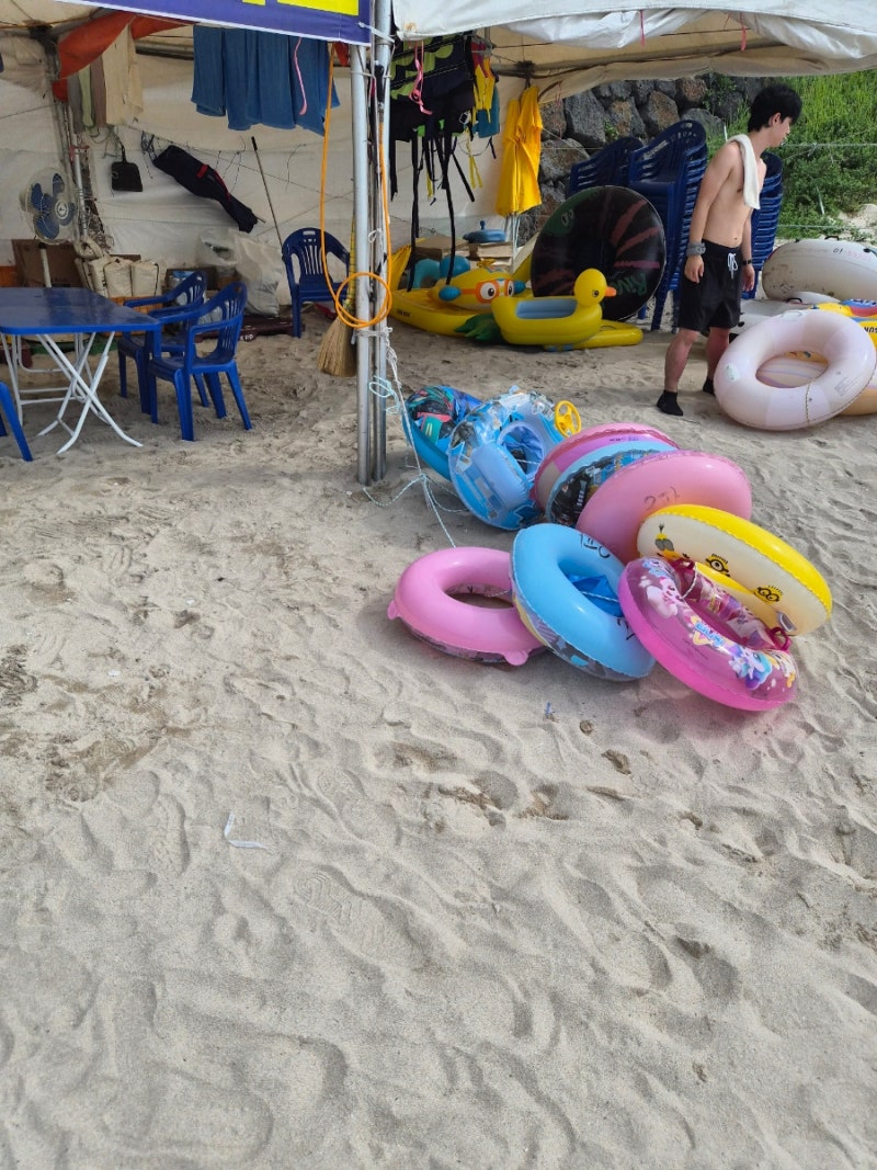 제주도 함덕해수욕장 옆에 함도그비치 애견동반 수영가능한 곳 추천