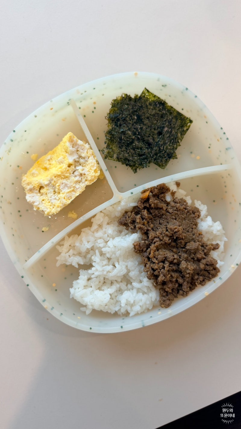 아기 유아식 반찬 소고기 소보로 레시피 (만능템)