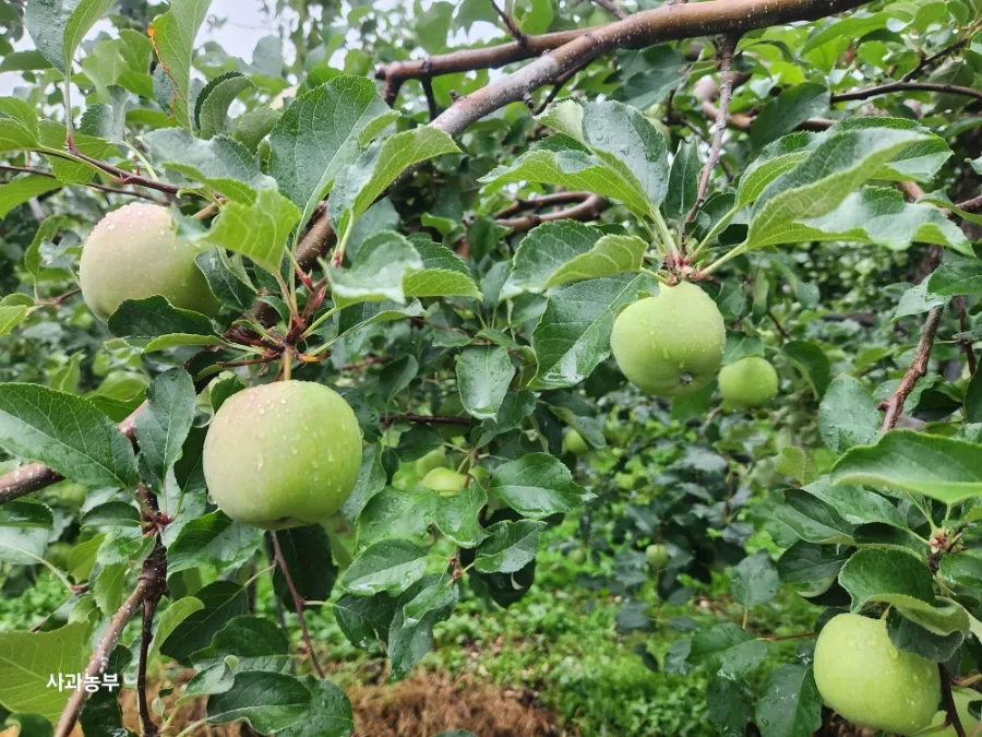 두메산골 사진 3
