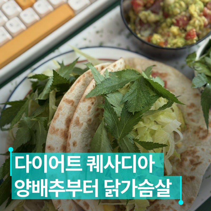 다이어트 퀘사디아 레시피 4가지! 양배추부터 닭가슴살까지 냉털요리 추천