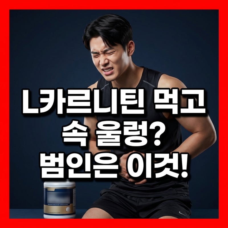 L카르니틴 섭취 후 소화불량이나 구토 증상이 생기는 이유