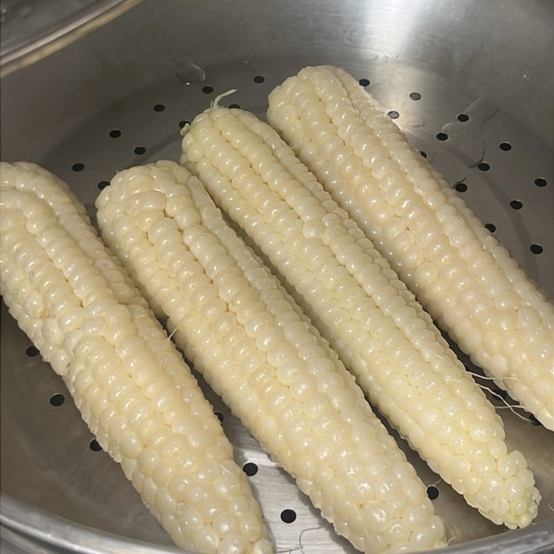 괴산대학찰옥수수 출하시기 여름간식 맛있게 찌는법