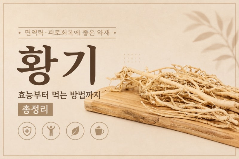 [황기 효능] 땀 멈추고 기력 회복 돕는 황기 효능, 부작용, 황기차 끓이는법 총정리
