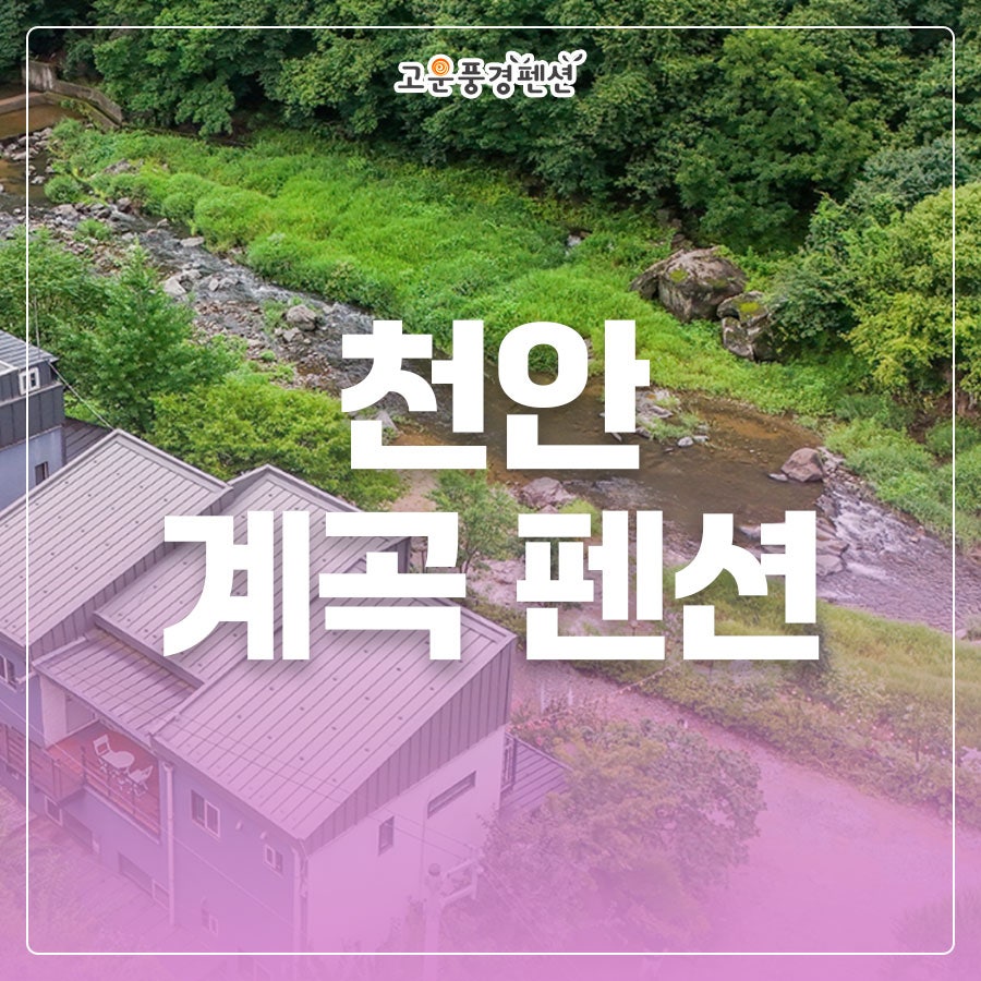 고운풍경펜션 사진 1