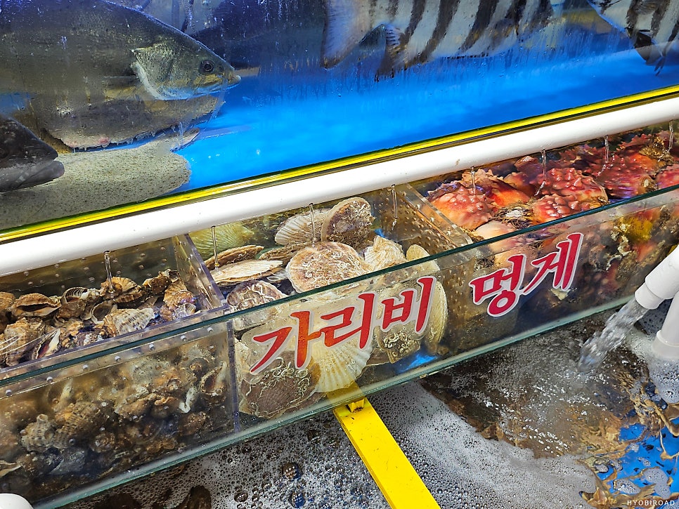 시장횟집 사진 6