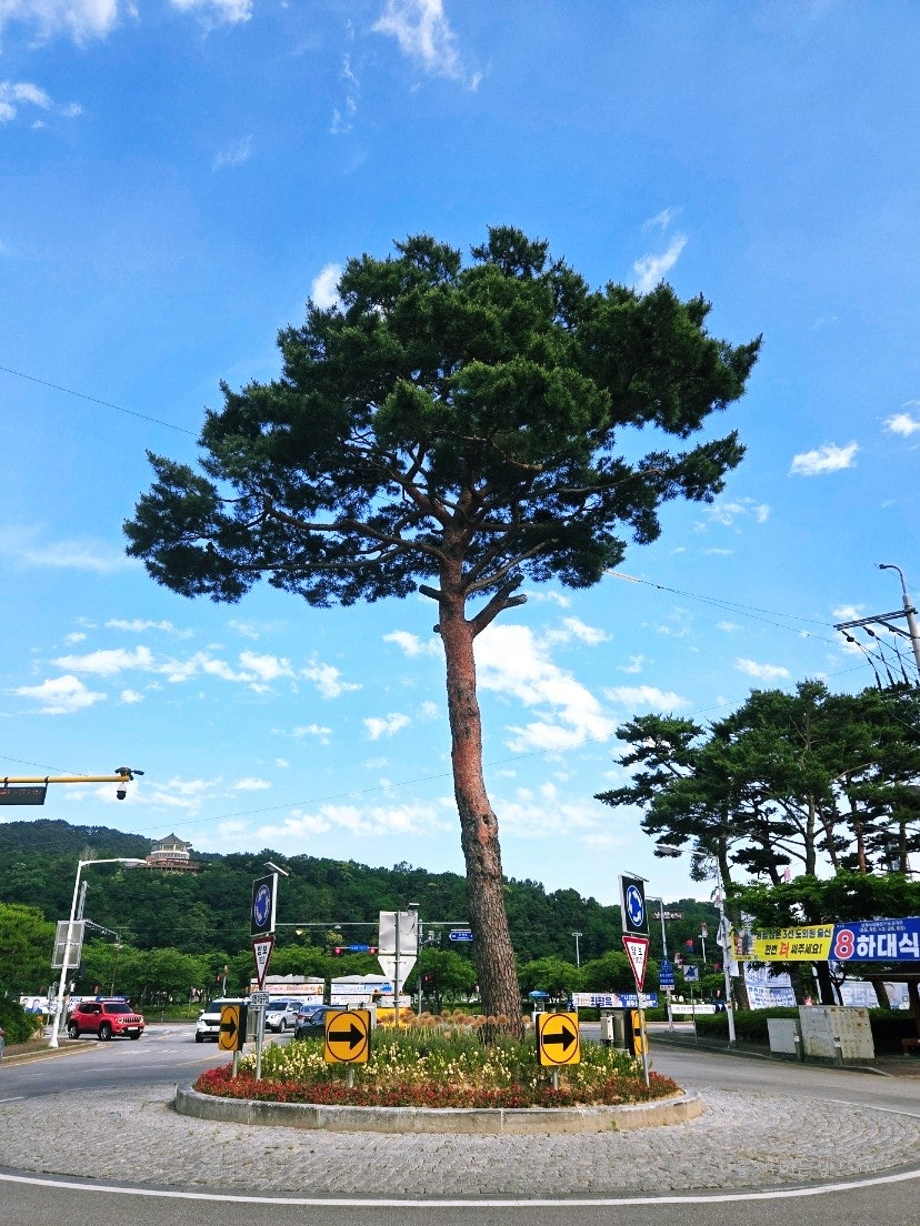 24시전주명가콩나물국밥 남원점 사진 1