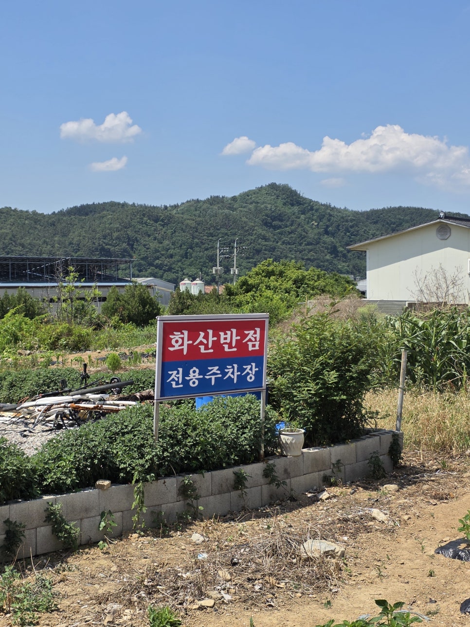 화산반점 사진 2