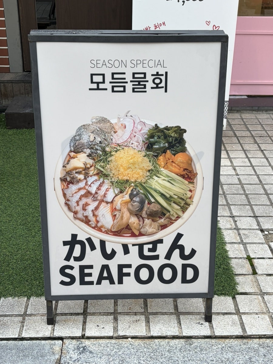호시 사진 4
