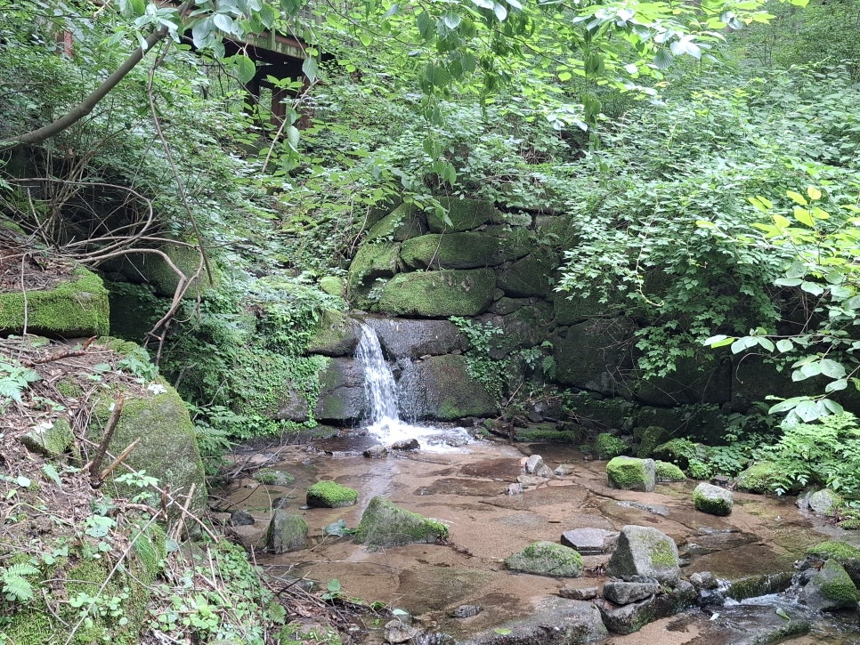예성수제순대 원주문막본점 사진 1