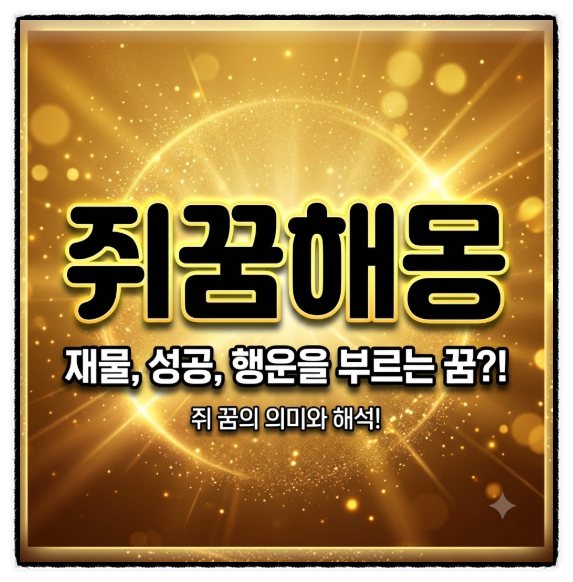 어젯밤 쥐꿈해몽 꿨다면 대박 횡재수 불러오는 돈꿈해몽