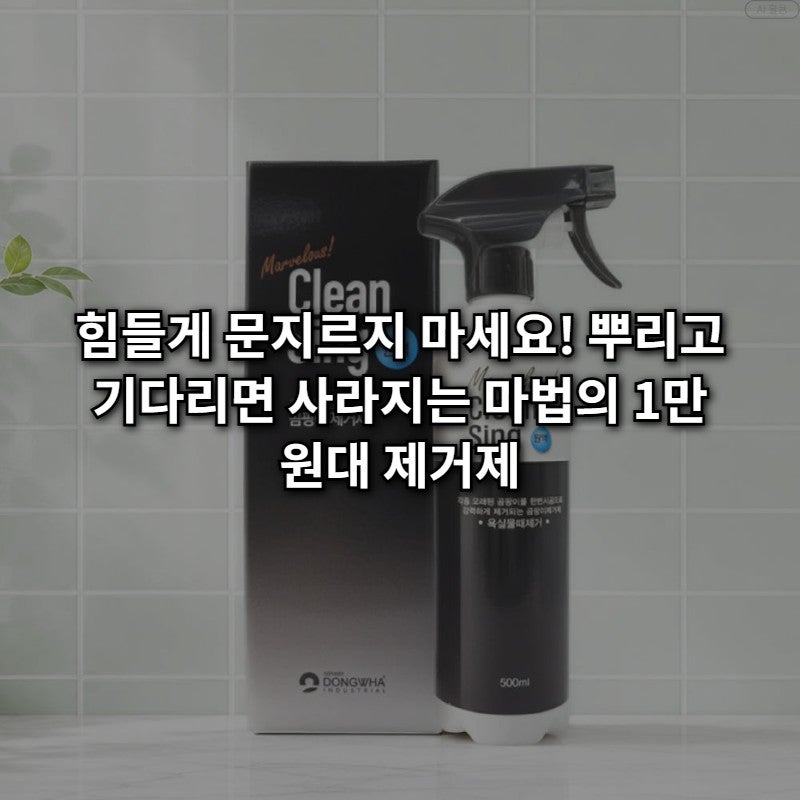 1만 원대로 지긋지긋한 곰팡이 해결! 화장실부터 실크벽지까지 싹 지워주는 곰팡이 제거제 ....