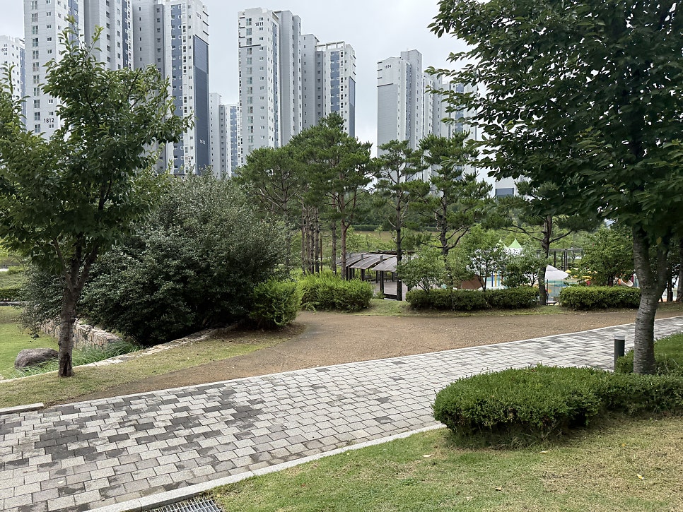 비피터 사진 5