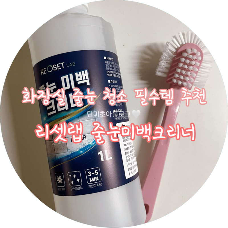 줄눈미백크리너 리셋랩ㅣ화장실줄눈청소 이걸로 끝냈어요 타일줄눈크리너 솔직후기