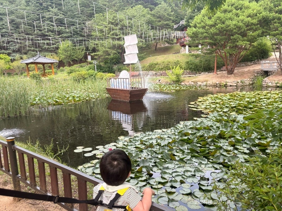 현대찜닭 사진 5