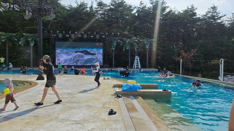 [양양 야외 수영장] 온천과 인피니티풀을 동시에! 양양 더앤리조트 스파 가볼만한곳 추천 (내....