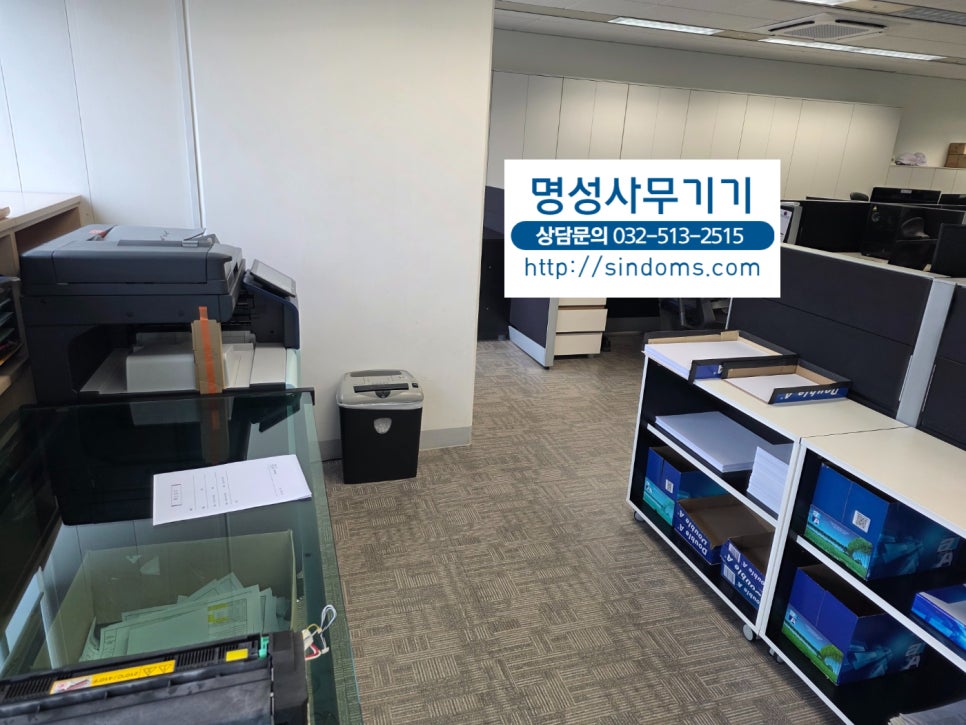 리코 사진 4
