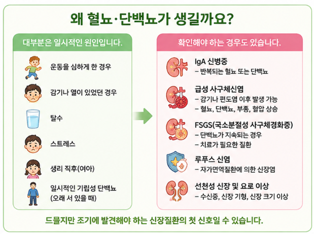 [강동하남미사소아과/소아혈뇨소아단백뇨] 우리아이 학교검진에서 혈뇨·단백뇨가 나왔다면....