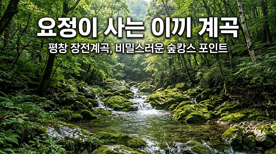 막동계곡 사진 2
