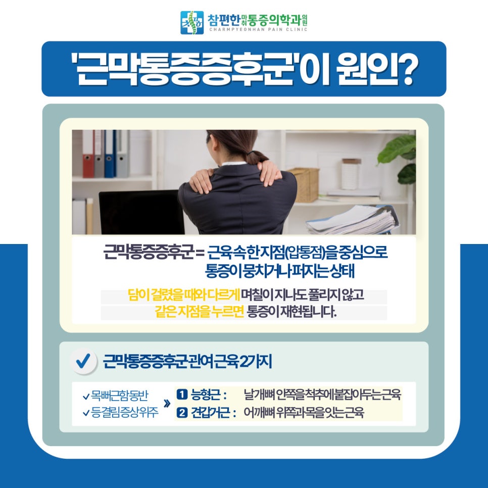 담 사진 6