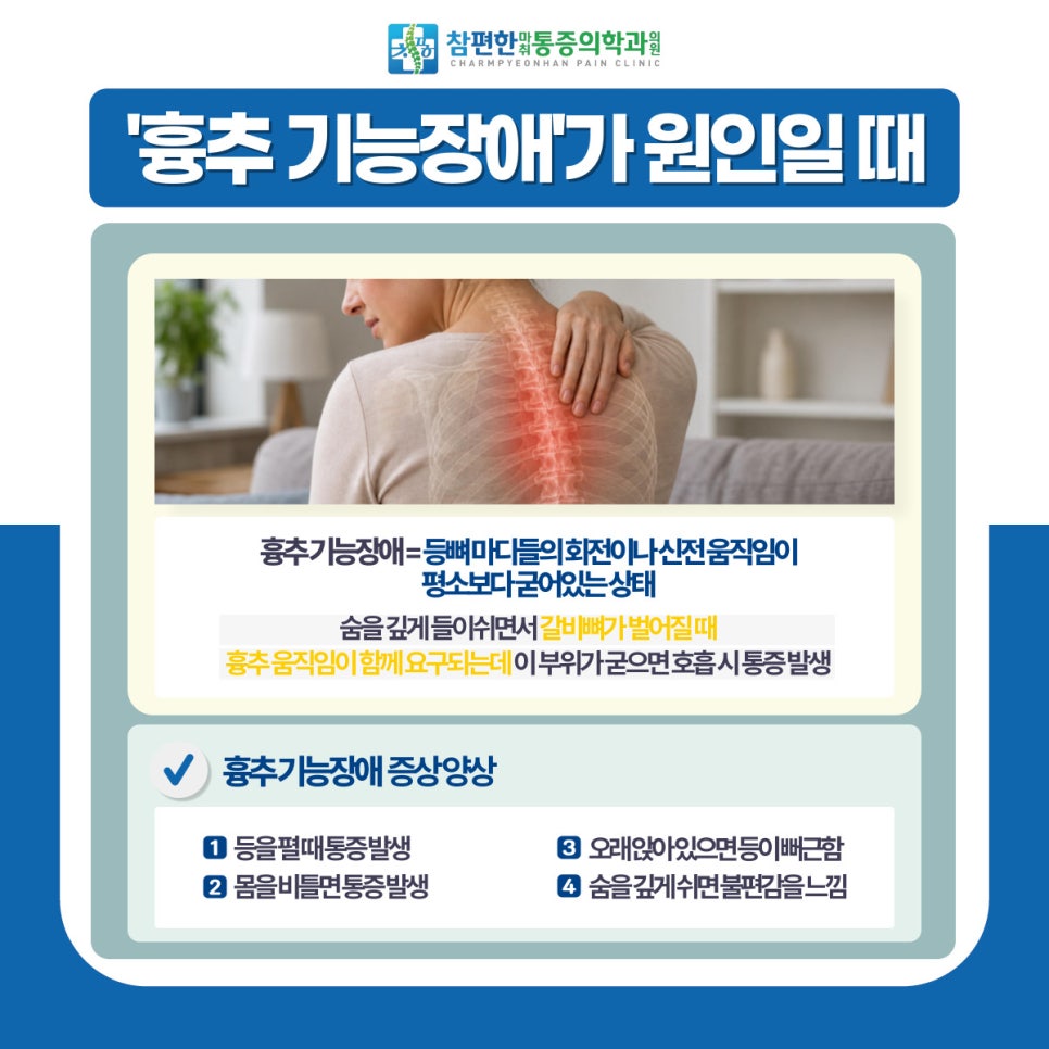 담 사진 7