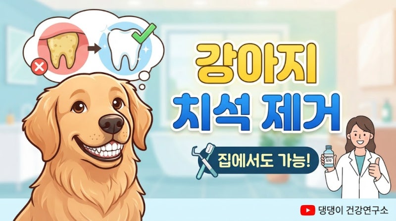 강아지 치석 제거 꼭 해야 할까? 입 냄새부터 치주염까지 예방하는 관리법 총정리
