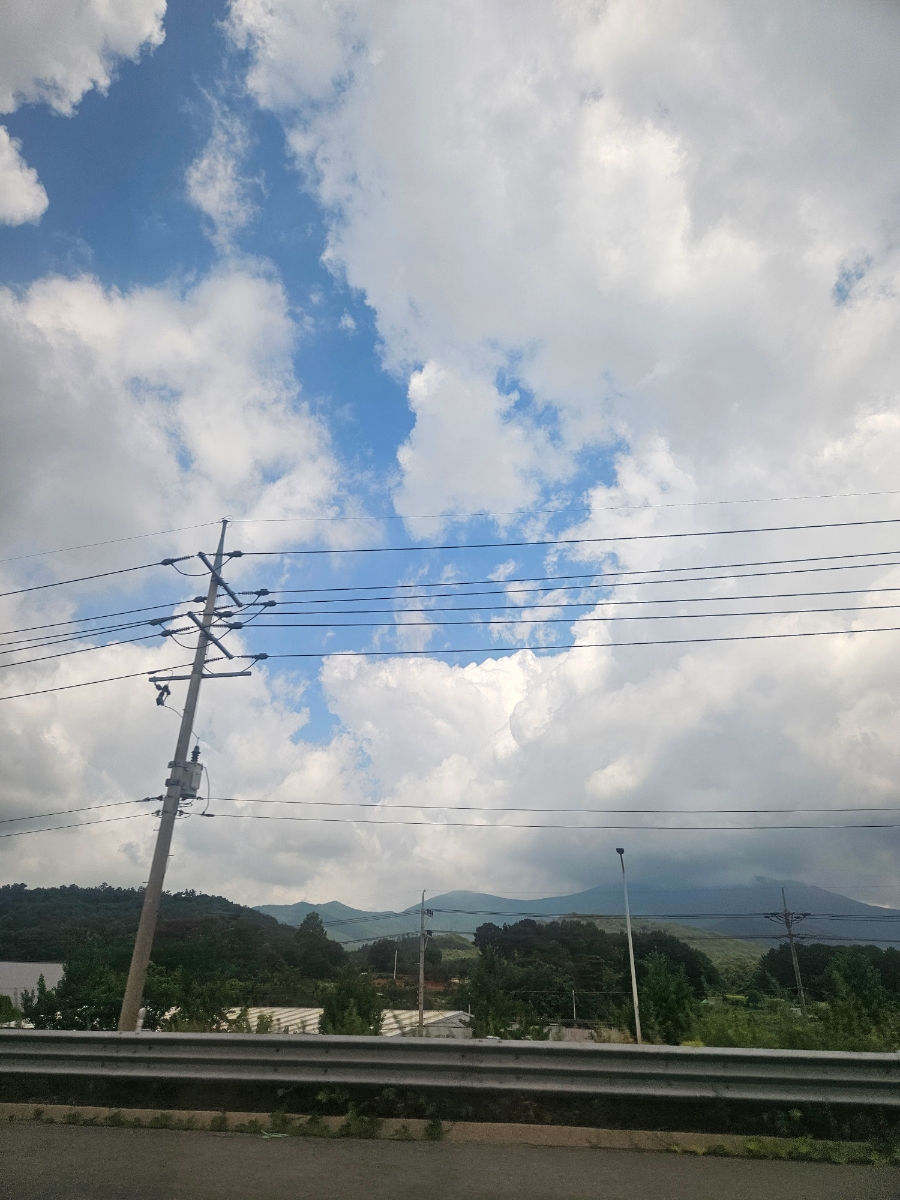 흑진주 사진 1